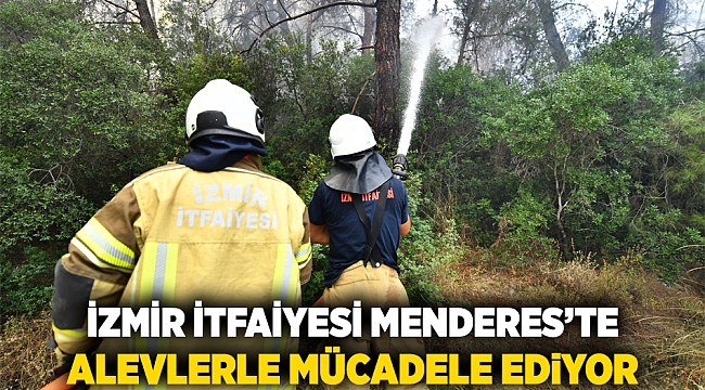 İzmir İtfaiyesi Menderes’te alevlerle mücadele ediyor