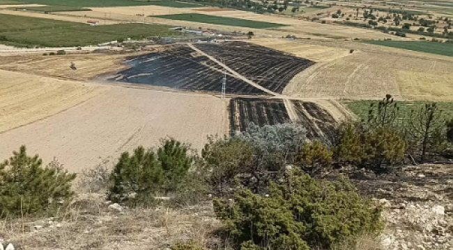 Konya&#039;da Anız Yangını Ormana Sıçradı