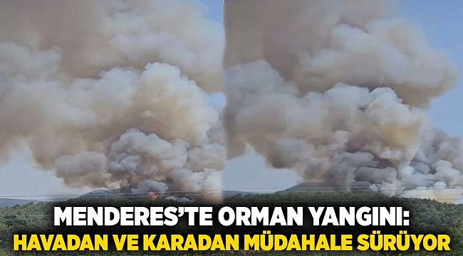 Menderes’te Orman Yangını: Havadan ve Karadan Müdahale Sürüyor