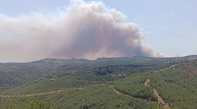 Mersin&#039;de orman yangını: 3 mahalle tahliye ediliyor