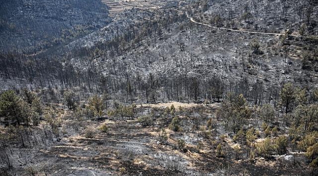Mersin Silifke&#039;deki orman yangınıyla ilgili 4 şüpheli tutuklandı