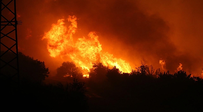 Orman yangınını akli dengesi yerinde olmayan 2 kişinin çıkardığı belirlendi