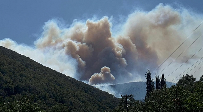 Orman yangınlarıyla mücadele sürüyor