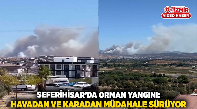 Seferihisar’da orman yangını: Havadan ve karadan müdahale sürüyor