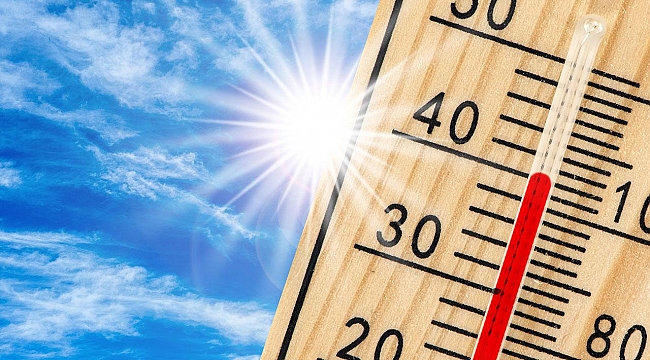 Yüksek sıcaklıklar tarım ve çevreyi olumsuz etkiliyor