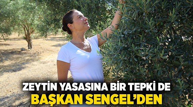 Zeytin Yasasına Bir Tepki de Başkan Sengel’den