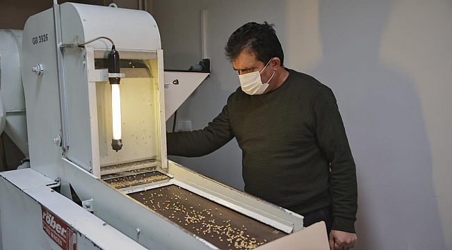 125 bine yakın tohum örneği gen bankalarında korunuyor