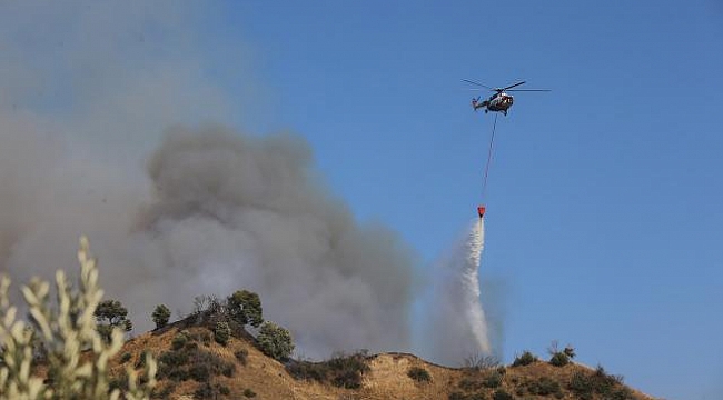 Aydın&#039;da zeytinlik ve ormanlık alanda çıkan yangın 2. gününde