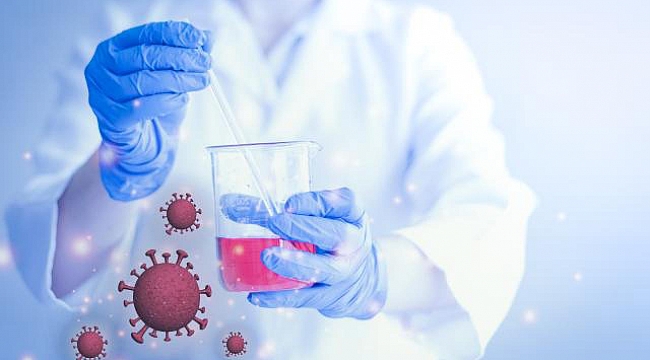 Bilim insanları, yapay zeka yardımıyla bazı bakterileri yok edebilen virüsler üretti