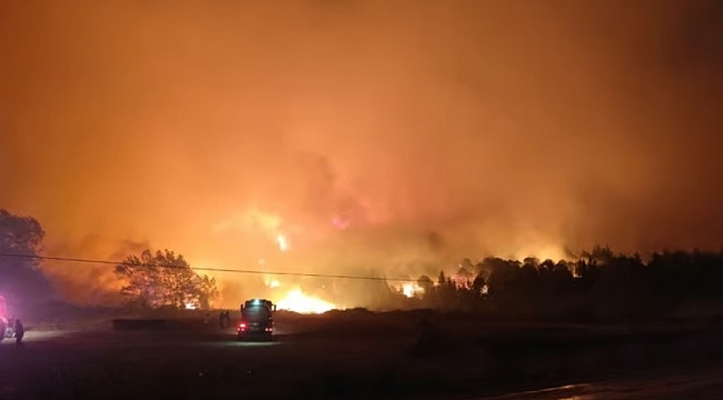 Bursa&#039;daki orman yangını söndürüldü