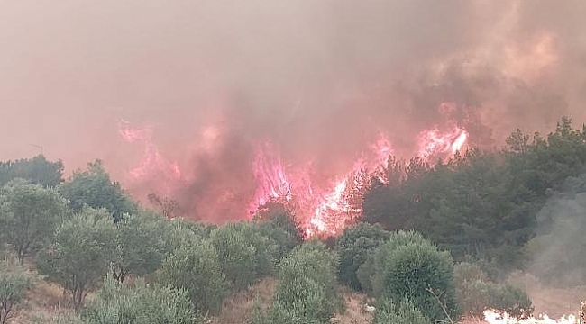 Denizli&#039;deki yangına müdahale sürüyor