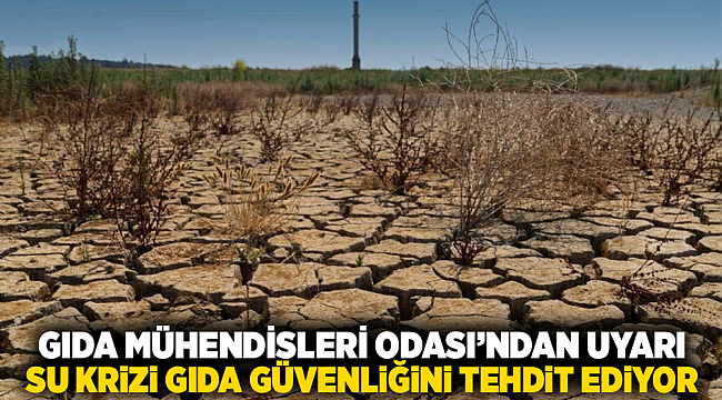 Gıda Mühendisleri Odası’ndan Uyarı: Su Krizi Gıda Güvenliğini Tehdit Ediyor