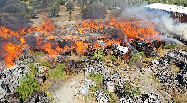 Manisa&#039;da palet fabrikasında yangın: Alevler ağaçlara da sıçradı