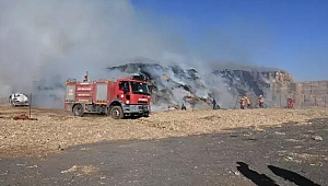 Mardin’de mısır balyalarının bulunduğu tarlada çıkan yangın söndürüldü