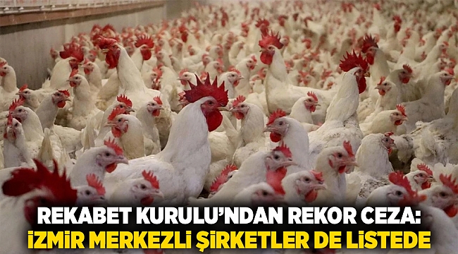 Rekabet Kurulu’ndan rekor ceza: İzmir merkezli şirketler de listede