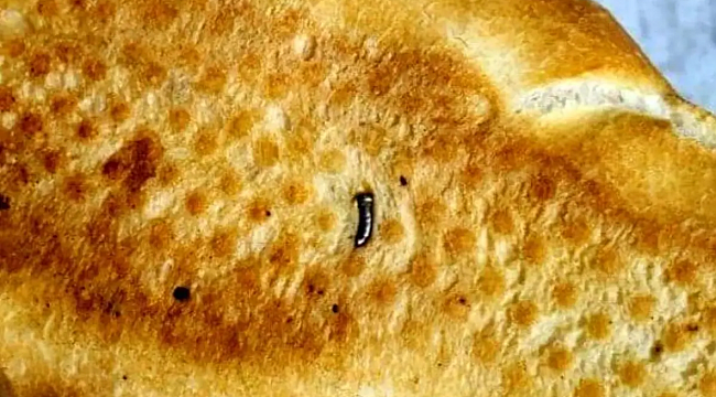 Siirt'te Ekmekten Çivi Çıktı