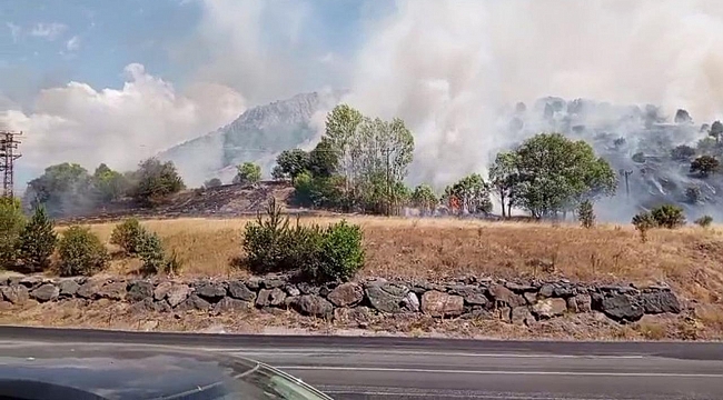 Sivas&#039;ta ağaçlık alanda yangın