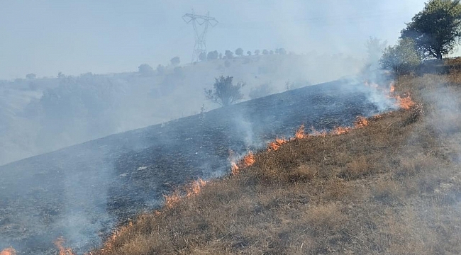 Tokat&#039;ta makilik alanda yangın