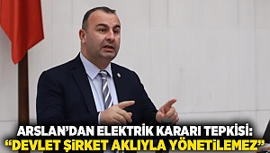 Arslan’dan elektrik kararı tepkisi: “Devlet şirket aklıyla yönetilemez”