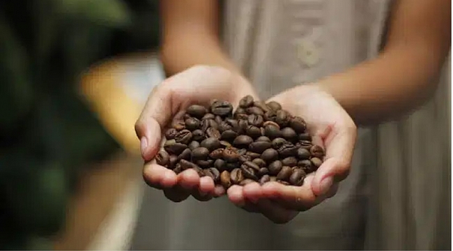 Bugün Dünya Kahve Günü... İşte kahve hakkında ilginç gerçekler!