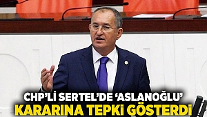 CHP’li Sertel’de ‘Aslanoğlu’ kararına tepki gösterdi