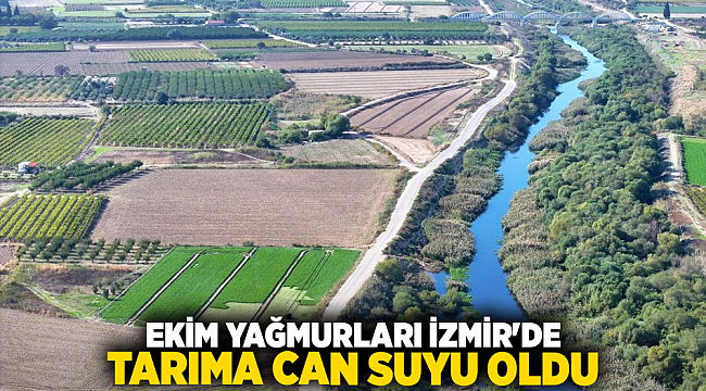Ekim Yağmurları İzmir&#039;de Tarıma Can Suyu Oldu