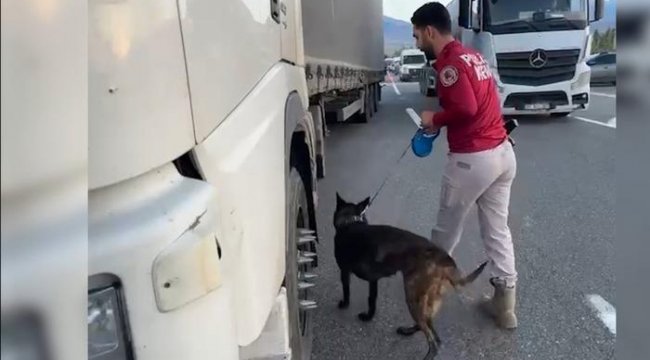 Iğdır’da kaçakçılık ve dolandırıcılık operasyonları: Çok sayıda kaçak ürün ele geçirildi, 4 şüpheli yakalandı