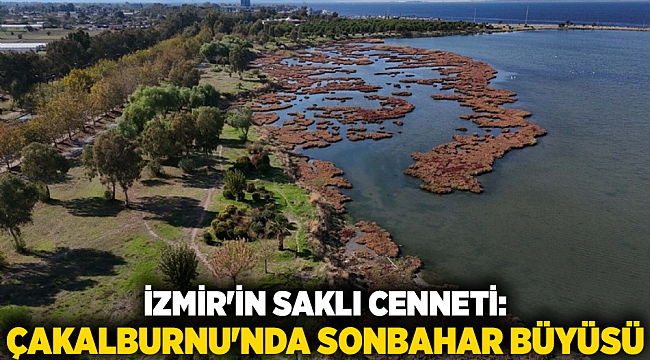 İzmir&#039;in Saklı Cenneti: Çakalburnu&#039;nda Sonbahar Büyüsü