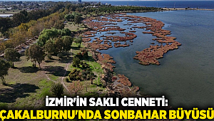 İzmir'in Saklı Cenneti: Çakalburnu'nda Sonbahar Büyüsü