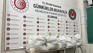 Kapıkule'de tır dorsesine gizlenmiş 113 kilogram uyuşturucu ele geçirildi
