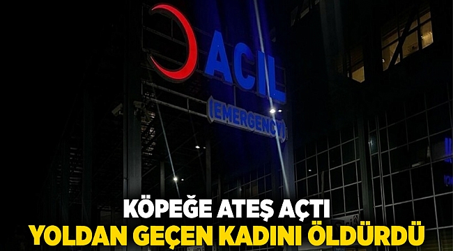 Köpeğe ateş açtı, yoldan geçen kadını öldürdü