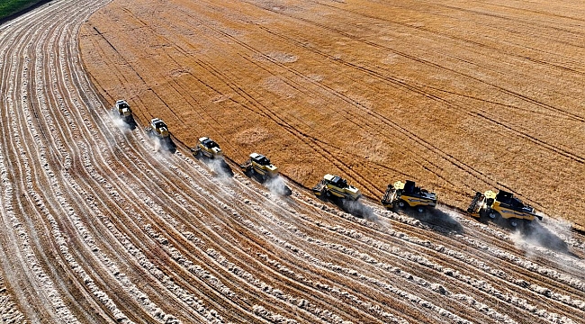 Kuraklık bu yıl birçok üründe etkisini hissettirdi