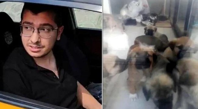 Sahiplendiği köpekleri katleden doktora 9 yıl 9 ay hapis cezası!