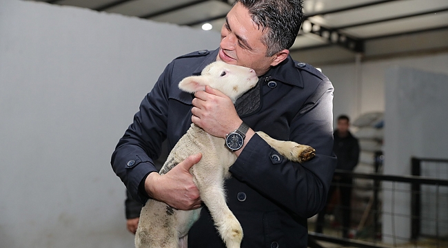 Aliağa’da Üreticiye Destek Sürüyor: Hibeli Koyun ve Koçlar Üreticilere Teslim Edildi