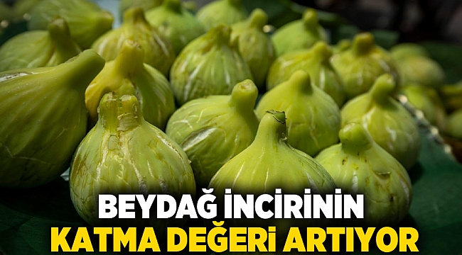 Beydağ incirinin katma değeri artıyor