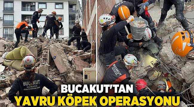 BUCAKUT&#039;TAN YAVRU KÖPEK OPERASYONU