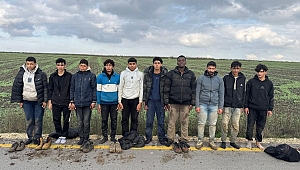 Edirne’de 10 kaçak göçmen yakalandı