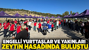 Engelli yurttaşlar ve yakınları zeytin hasadında buluştu 