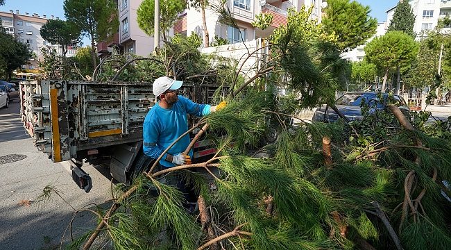 Gaziemir Belediyesi bahçe atıklarını randevulu sistemle topluyor