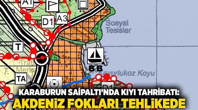 Karaburun Saipaltı’nda Kıyı Tahribatı: Akdeniz Fokları Tehlikede