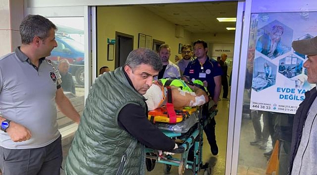 Mantar toplarken ayı saldırısına uğrayan köy imamı yaralandı