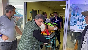 Mantar toplarken ayı saldırısına uğrayan köy imamı yaralandı 