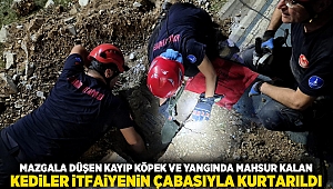 Mazgala düşen kayıp köpek ve yangında mahsur kalan kediler itfaiyenin çabasıyla kurtarıldı