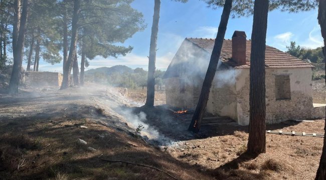 Milas’taki orman yangınları büyümeden söndürüldü