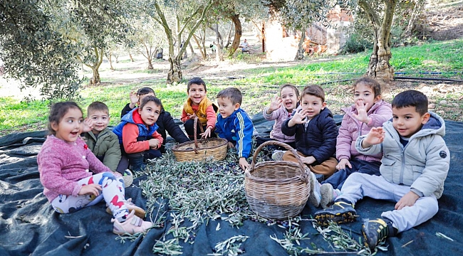 Seferihisar Belediyesi’nden örnek proje; Çocukların topladığı zeytinler sofralara bereket olacak