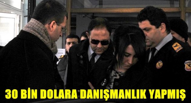 30 bin dolara danışmanlık yapmış.