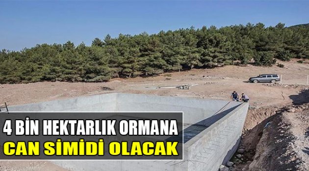 4 Bin Hektarlık Ormana Can Simidi Olacak