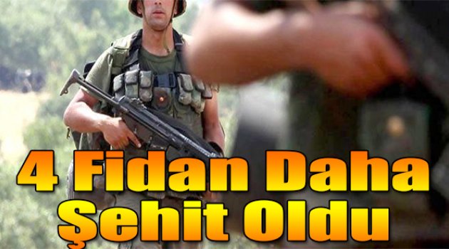 4 fidan daha şehit oldu