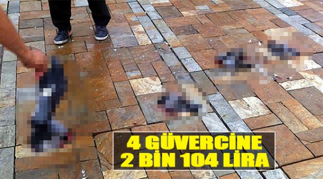 4 Güvercine 2 Bin 104 Lira