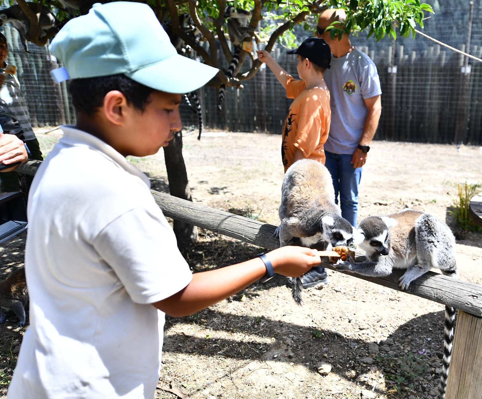 Doğal Yaşam Parkı sakinlerini serinleten menü